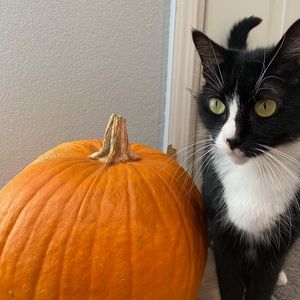 Meet your Posher, Alicia